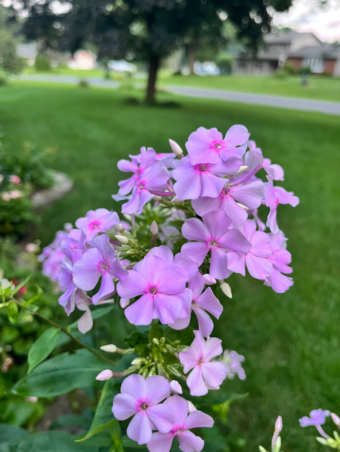 Screenshot 2023-07-12 210731.png