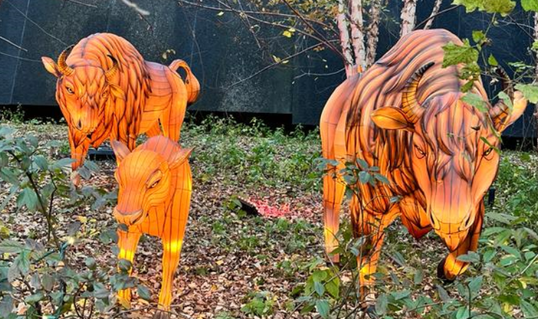 Screenshot 2023-11-29 214647.png