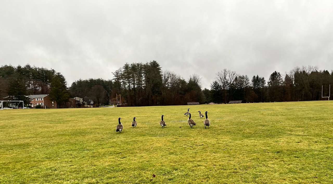 Screenshot 2024-01-31 085304.png