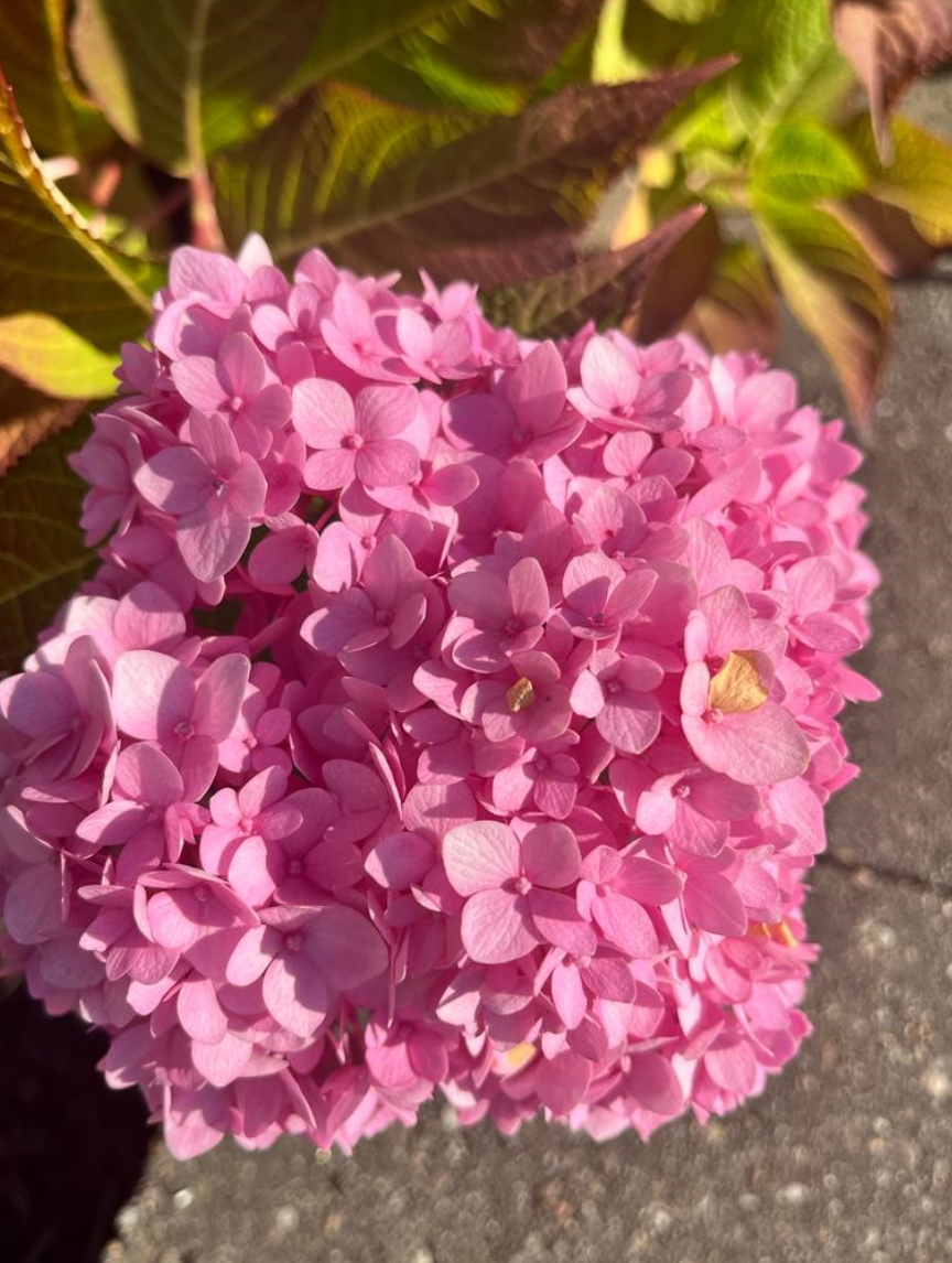 Screenshot 2023-10-27 192631.png