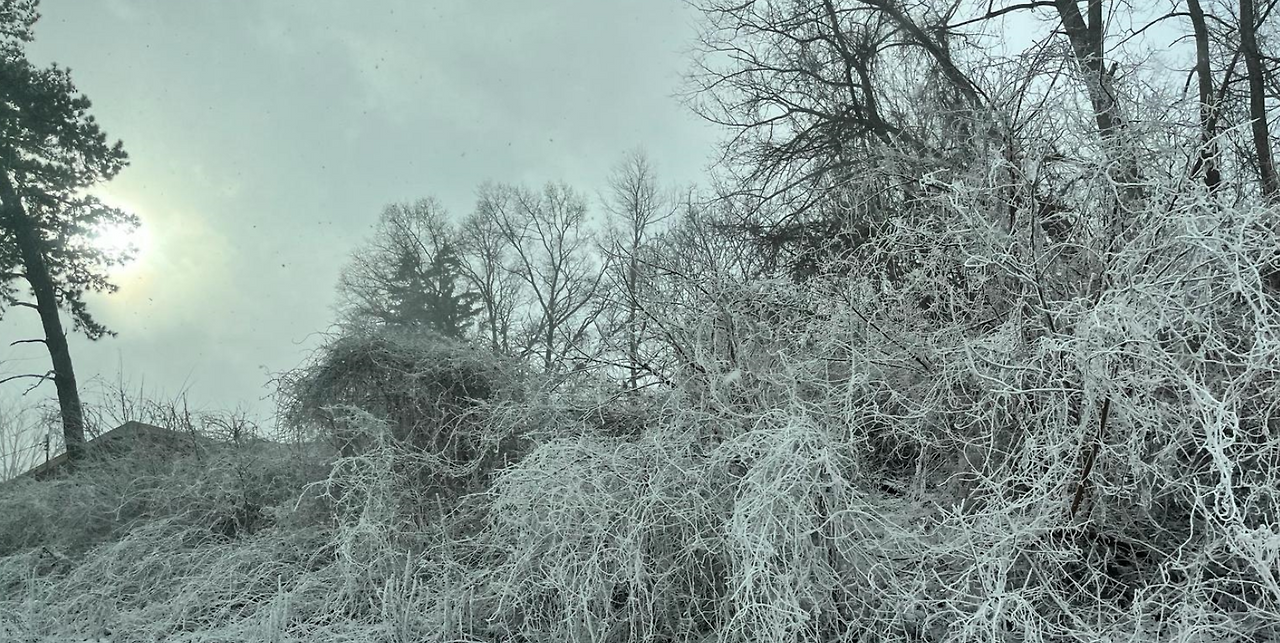 Screenshot 2024-01-31 085326.png