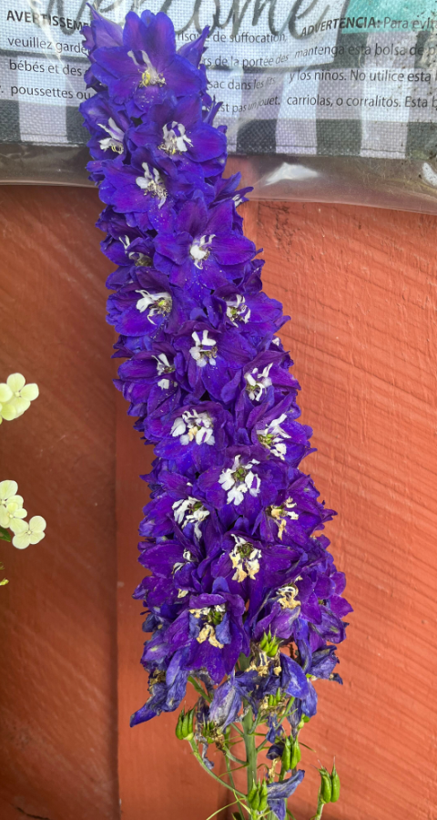 Screenshot 2023-07-23 195559.png