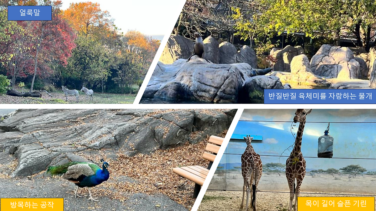 Screenshot 2023-11-21 194426.png