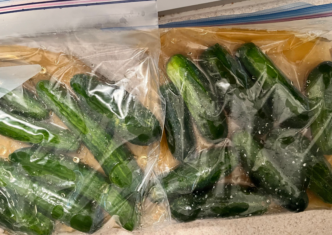 Screenshot 2023-06-24 185025.png