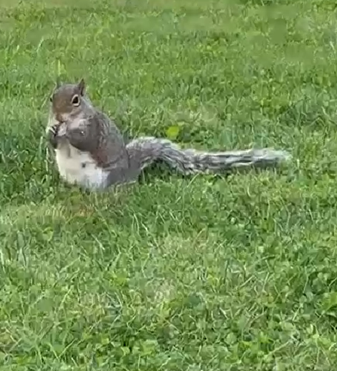 Screenshot 2024-08-21 204350.png