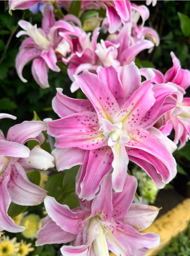 Screenshot 2023-08-28 122839.png