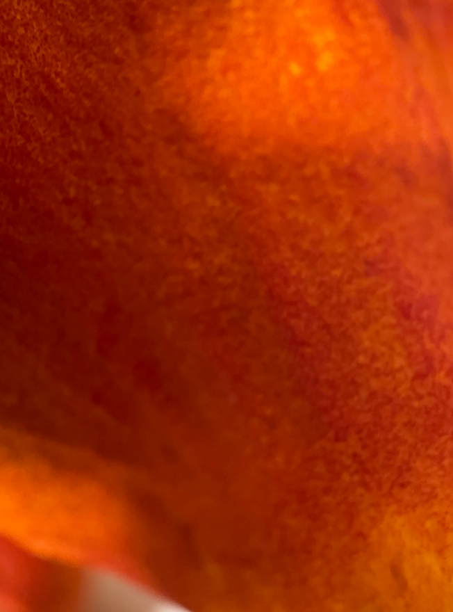 Screenshot 2023-08-13 230828.png