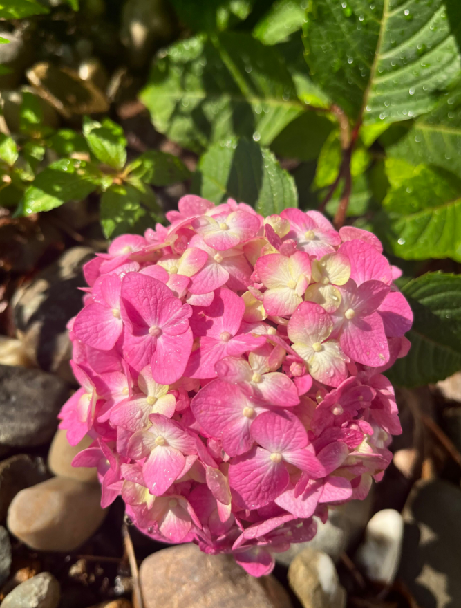 Screenshot 2023-07-14 133256.png