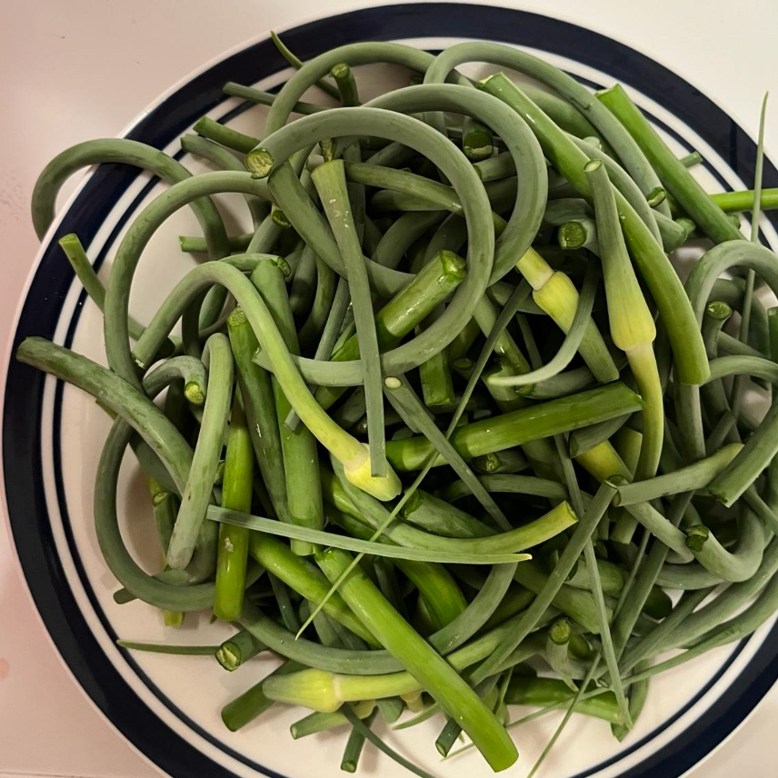 Screenshot 2024-06-13 154307.png