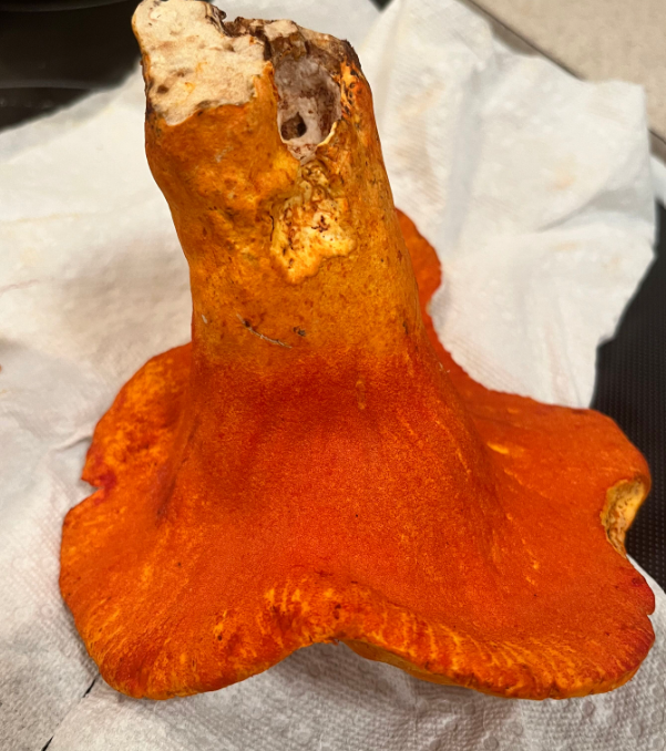 Screenshot 2023-08-13 231037.png