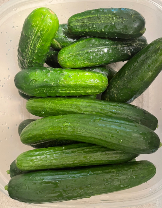 Screenshot 2023-06-24 185318.png