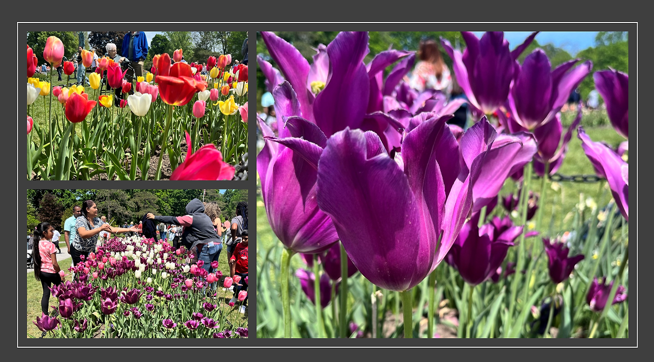 Screenshot 2023-05-15 130023.png