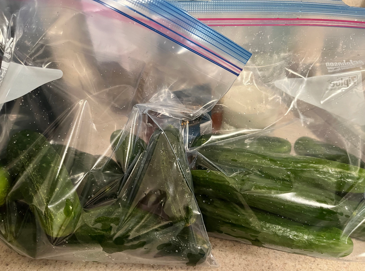 Screenshot 2023-06-24 185047.png