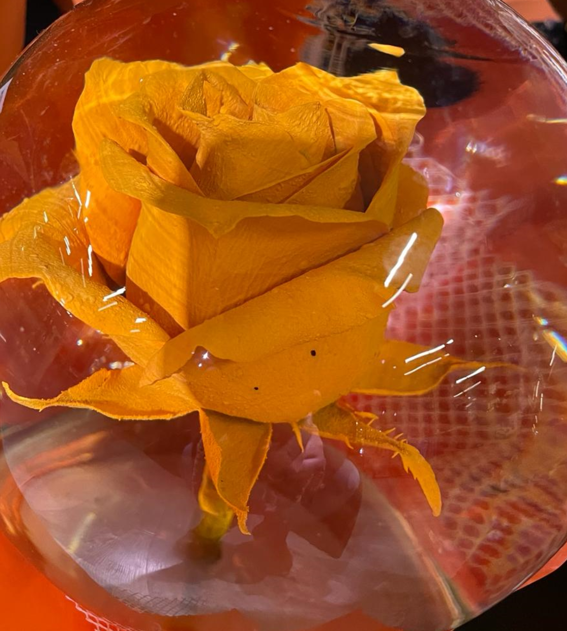 Screenshot 2023-11-28 170944.png