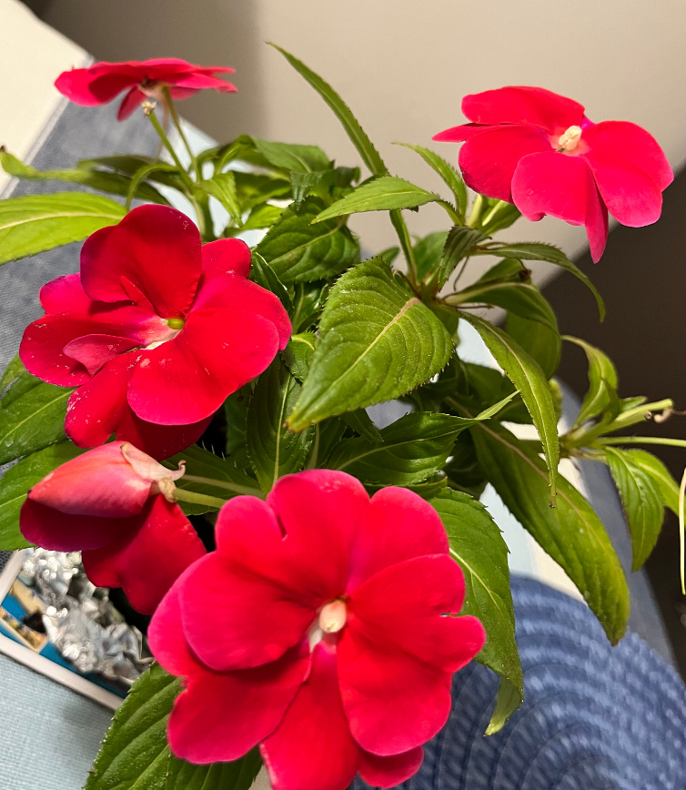 Screenshot 2023-06-13 154148.png