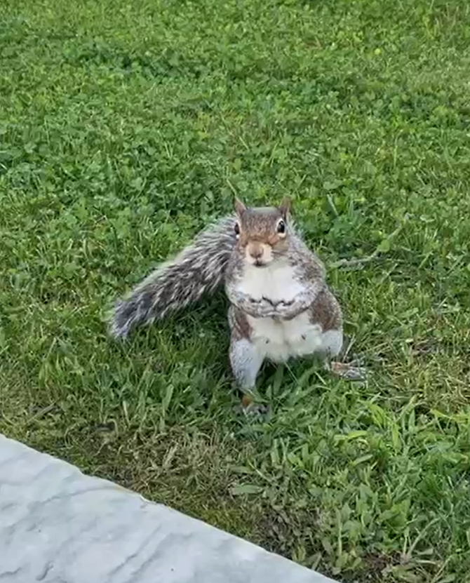 Screenshot 2024-08-21 204531.png