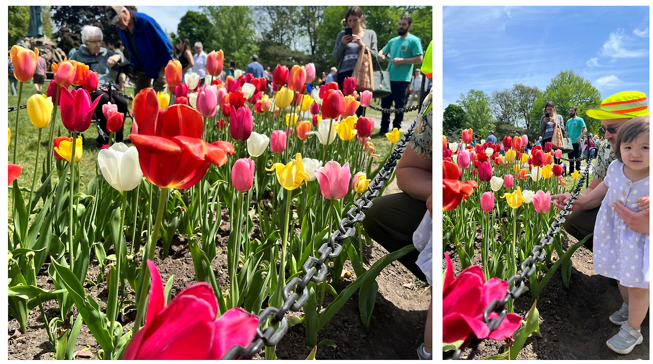 Screenshot 2023-05-15 125822.png