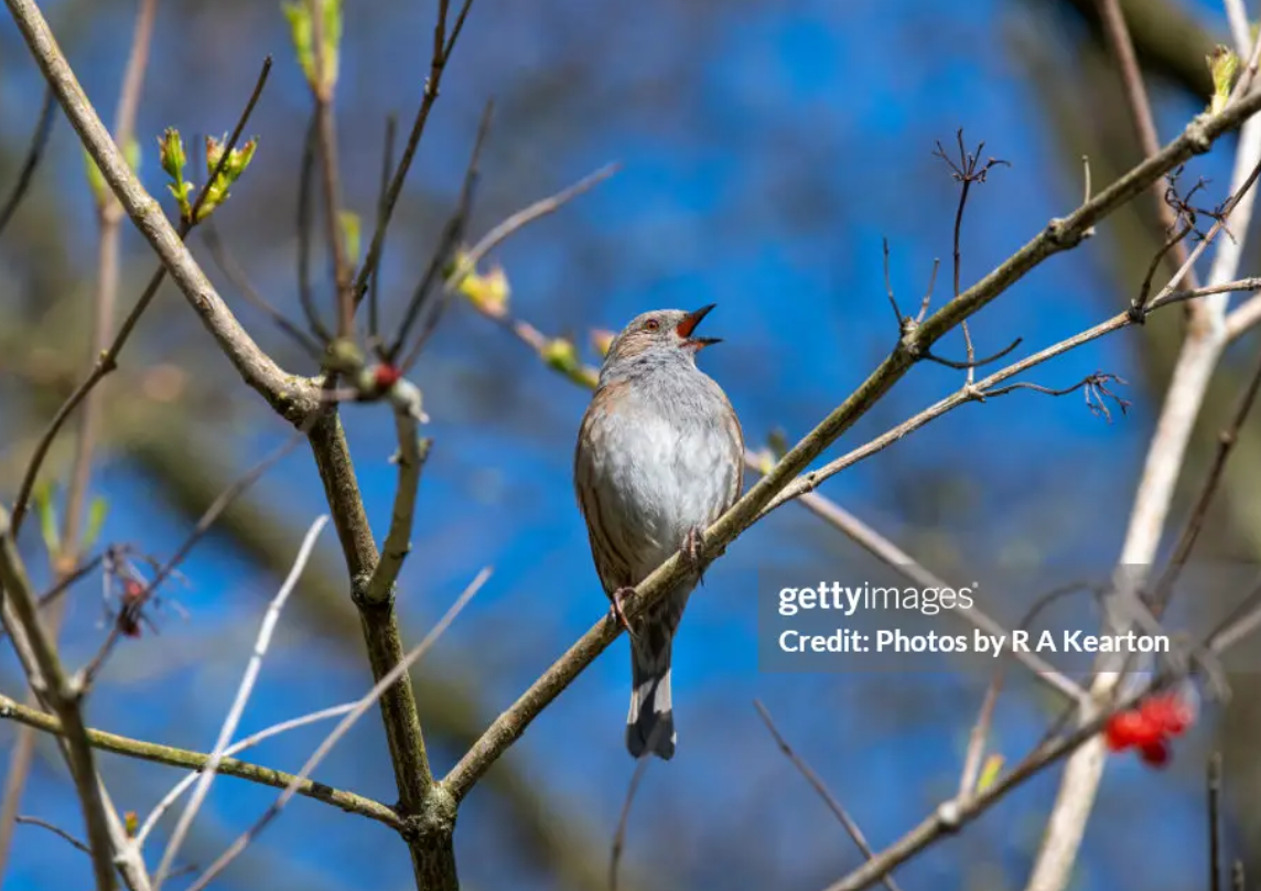 Screenshot 2023-11-09 162230.png