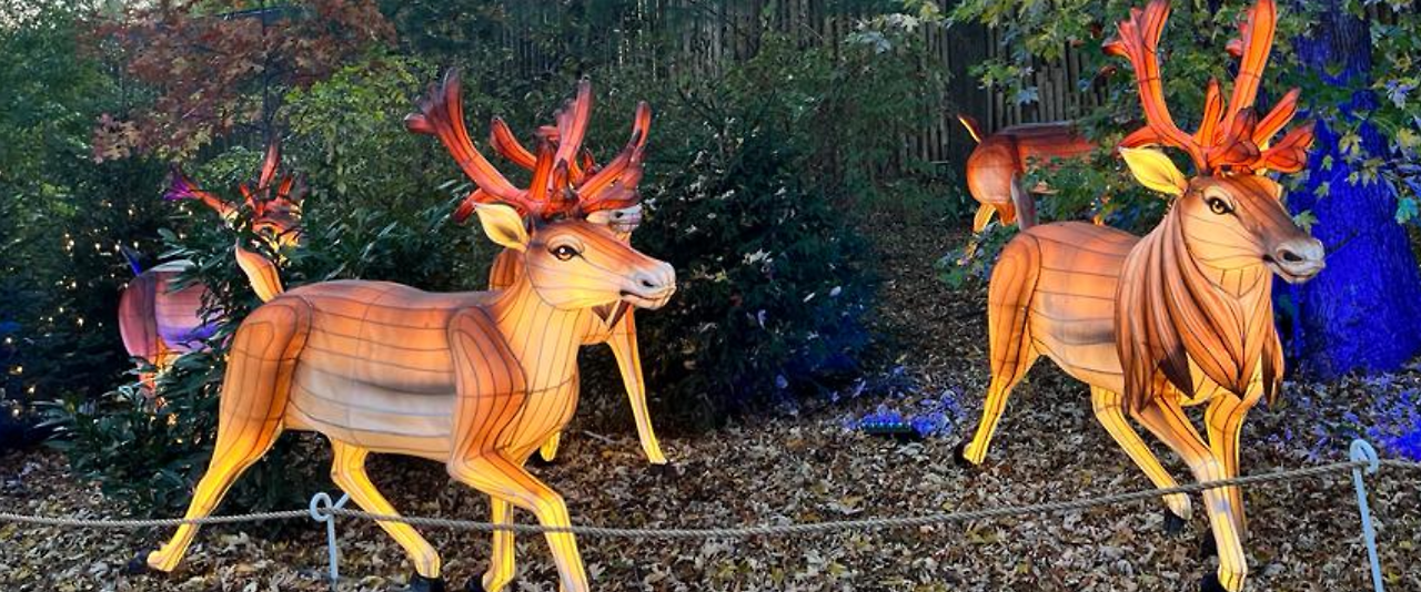 Screenshot 2023-11-29 214712.png