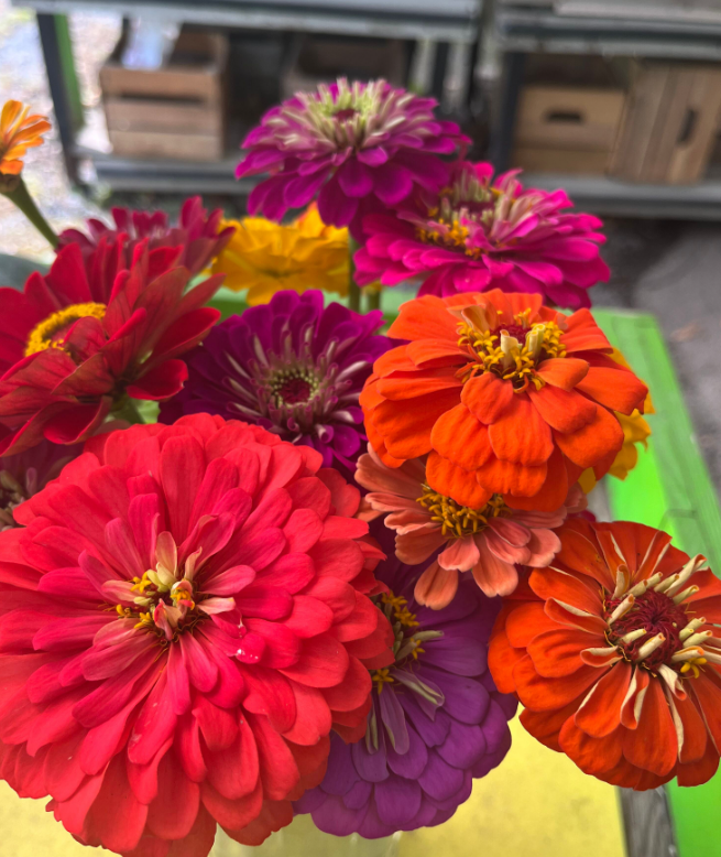 Screenshot 2023-07-29 183458.png