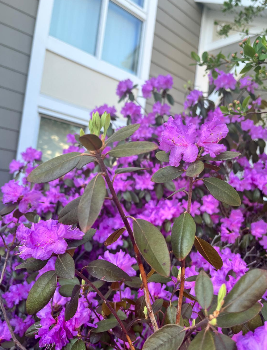 Screenshot 2025-05-30 155149.png