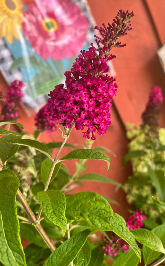 Screenshot 2023-07-23 195544.png