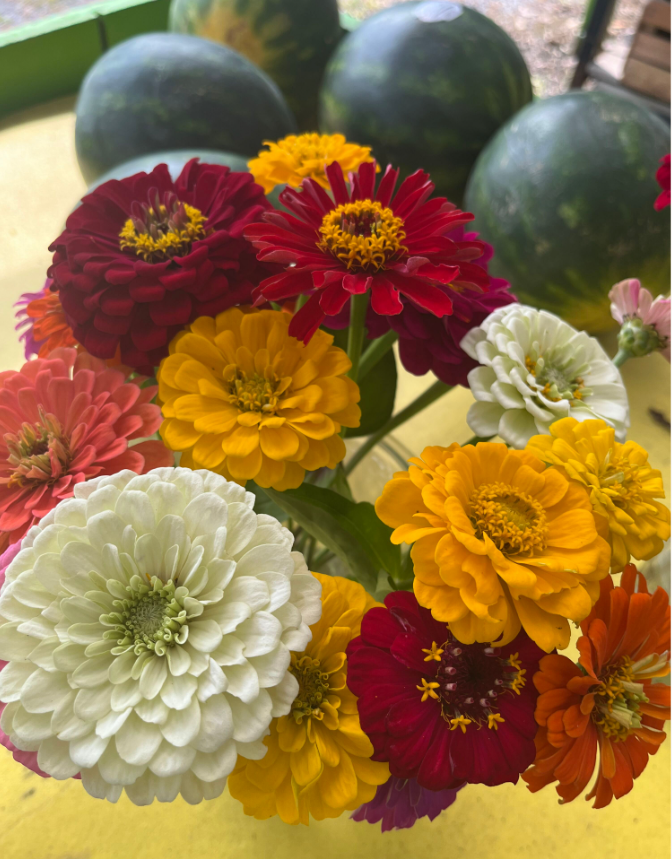 Screenshot 2023-07-29 183447.png