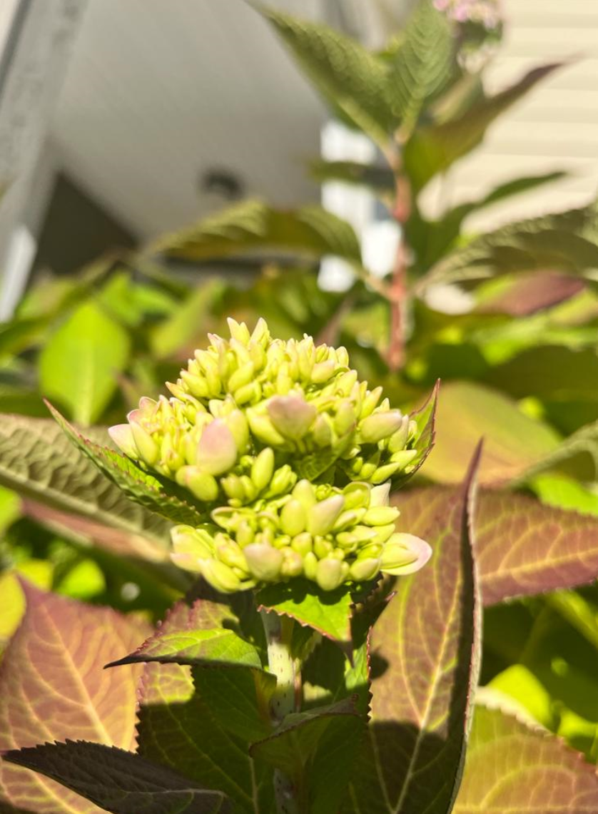 Screenshot 2023-10-27 192603.png