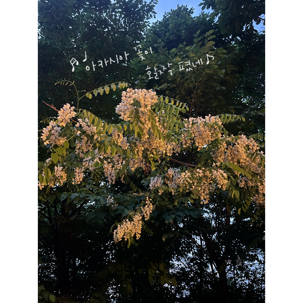 제목_없는_아트워크 713.png