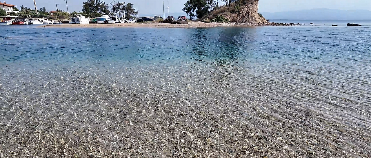 스크린샷 2025-01-05 162948.png