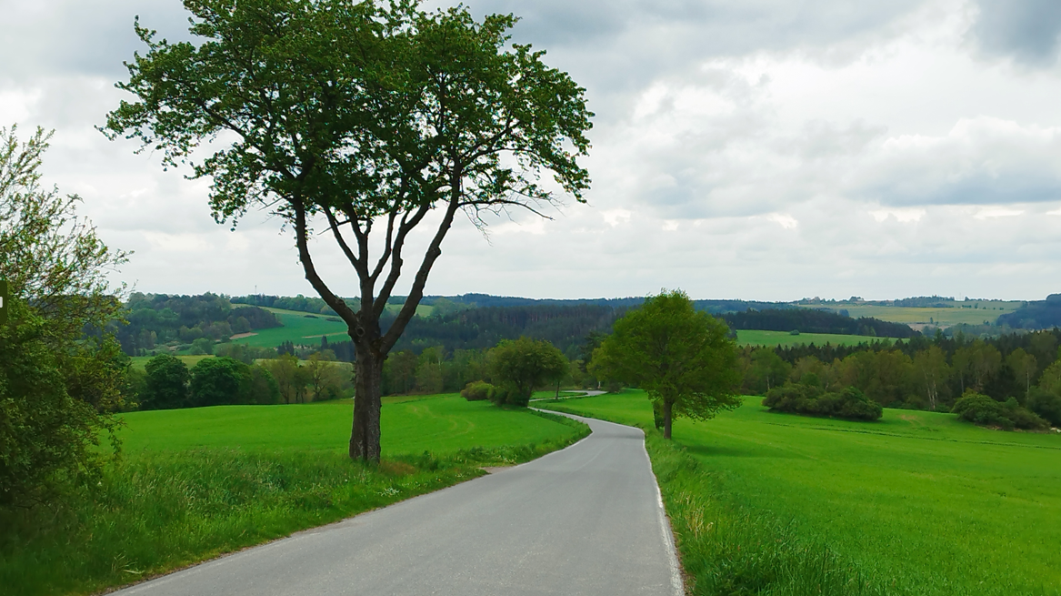 스크린샷 2025-09-11 143457.png