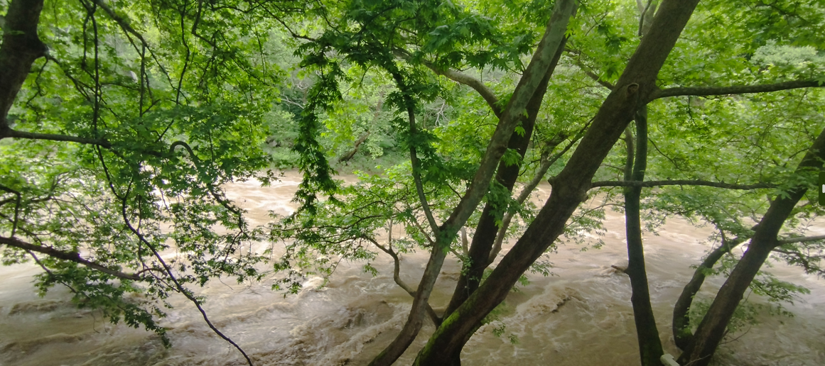 화면 캡처 2025-01-06 134849.png