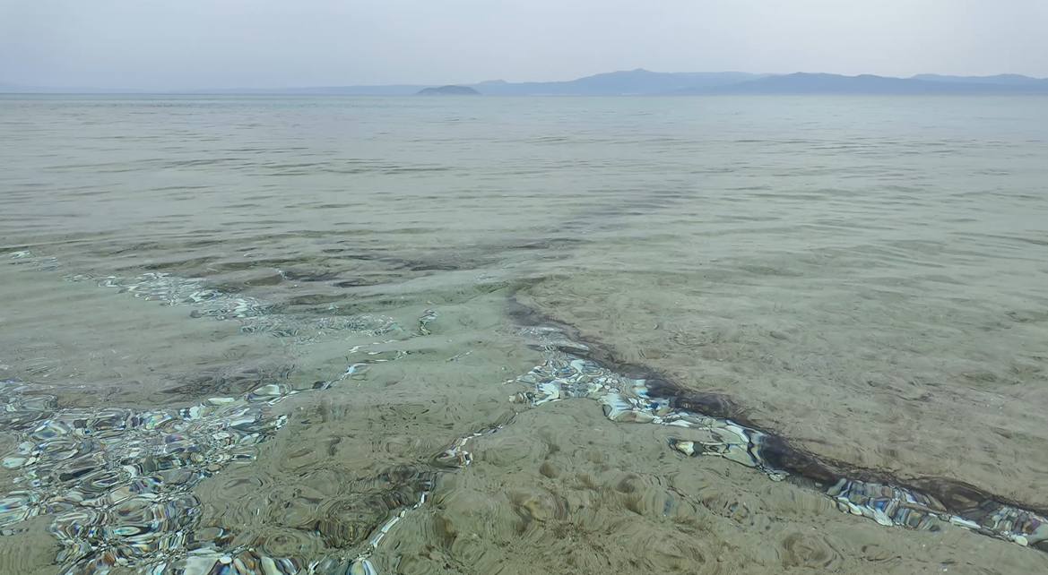 화면 캡처 2025-01-02 135201.png