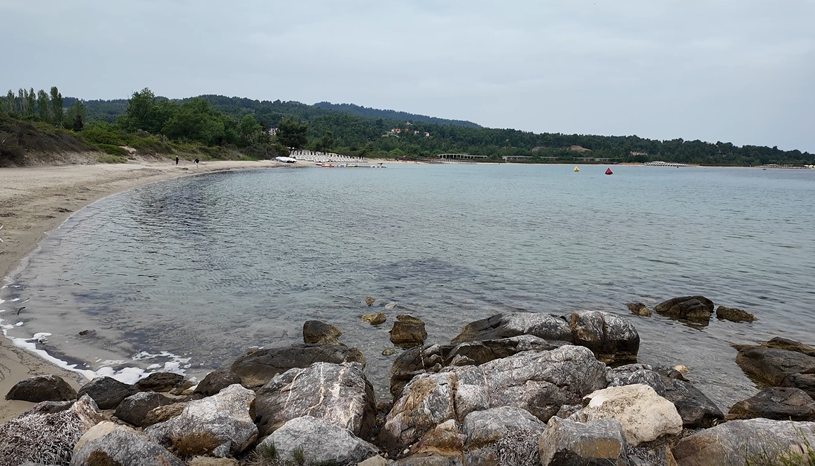 화면 캡처 2025-01-02 135723.png