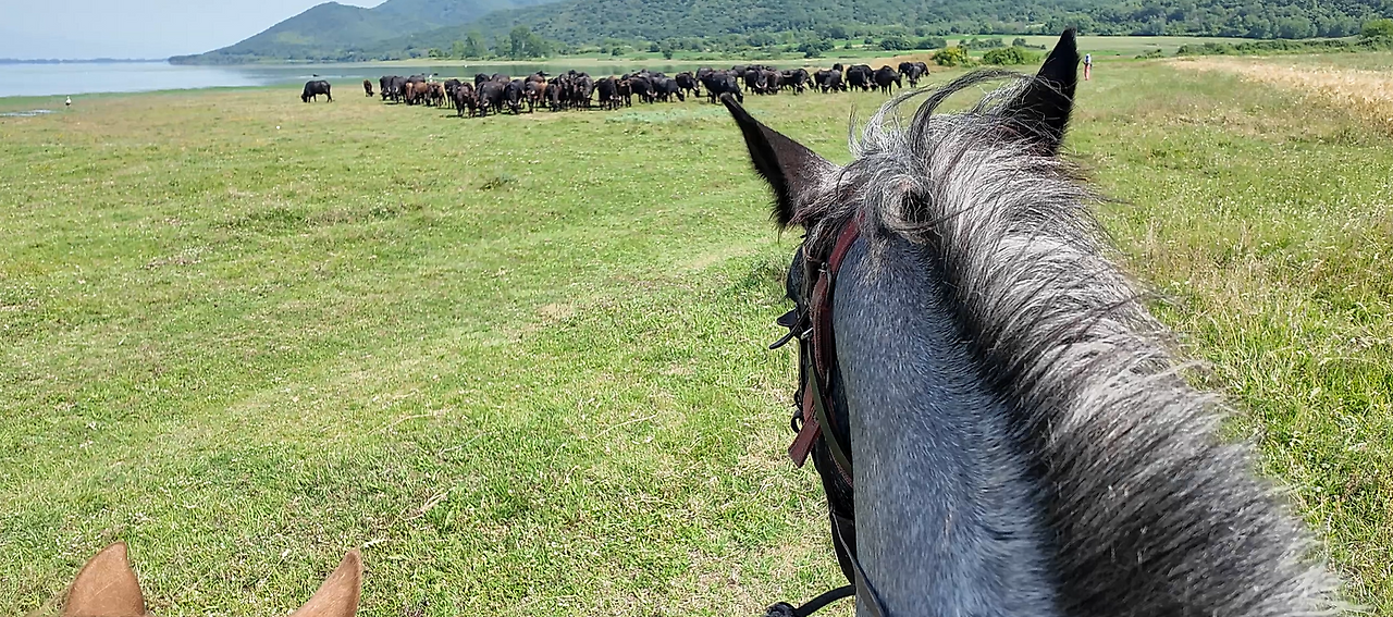 스크린샷 2025-01-05 193004.png