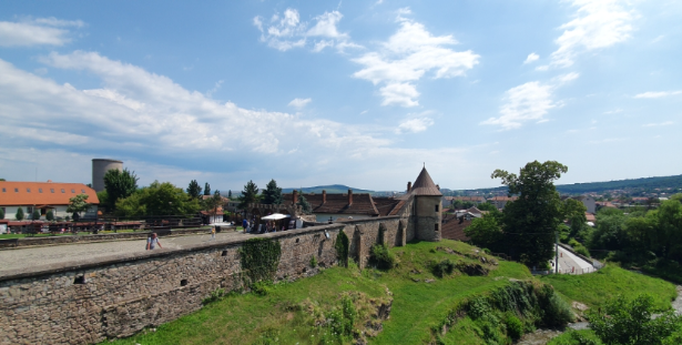 화면 캡처 2024-08-13 092838.png