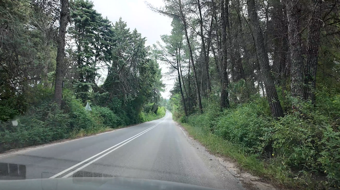 화면 캡처 2025-01-02 135633.png