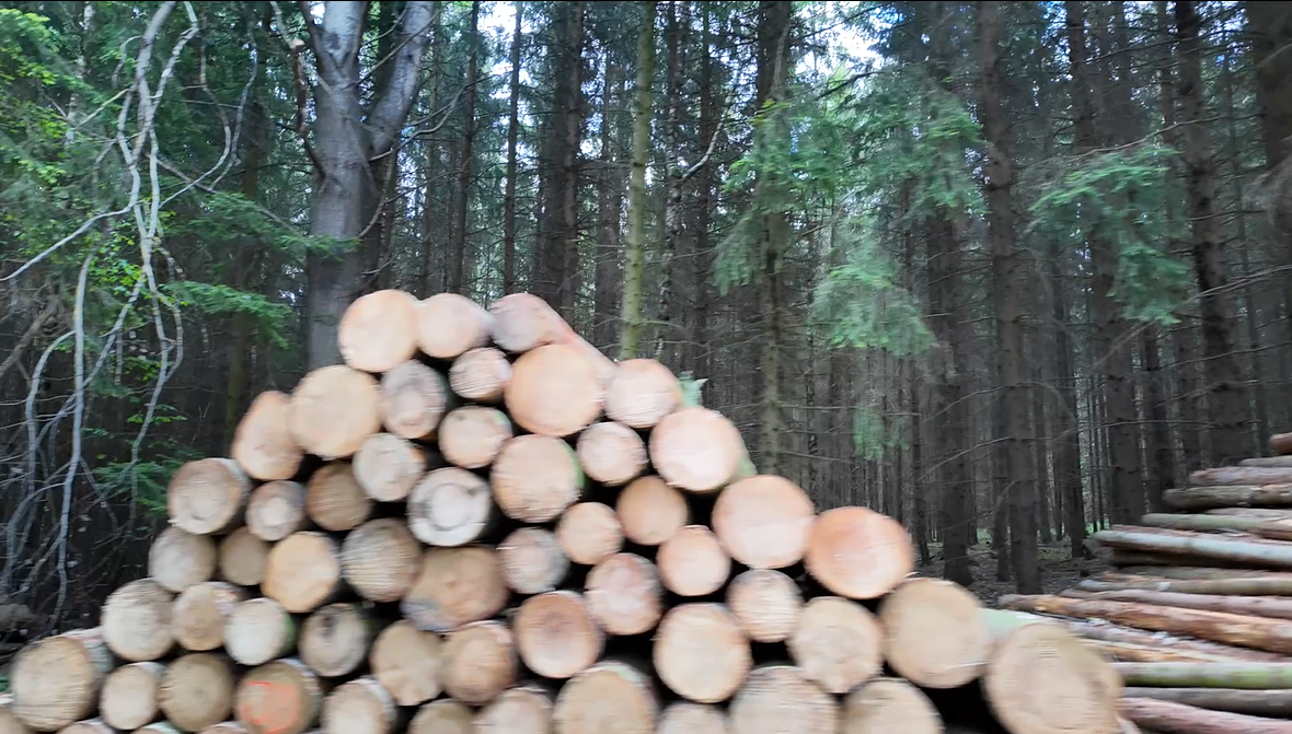 스크린샷 2025-08-25 142833.png