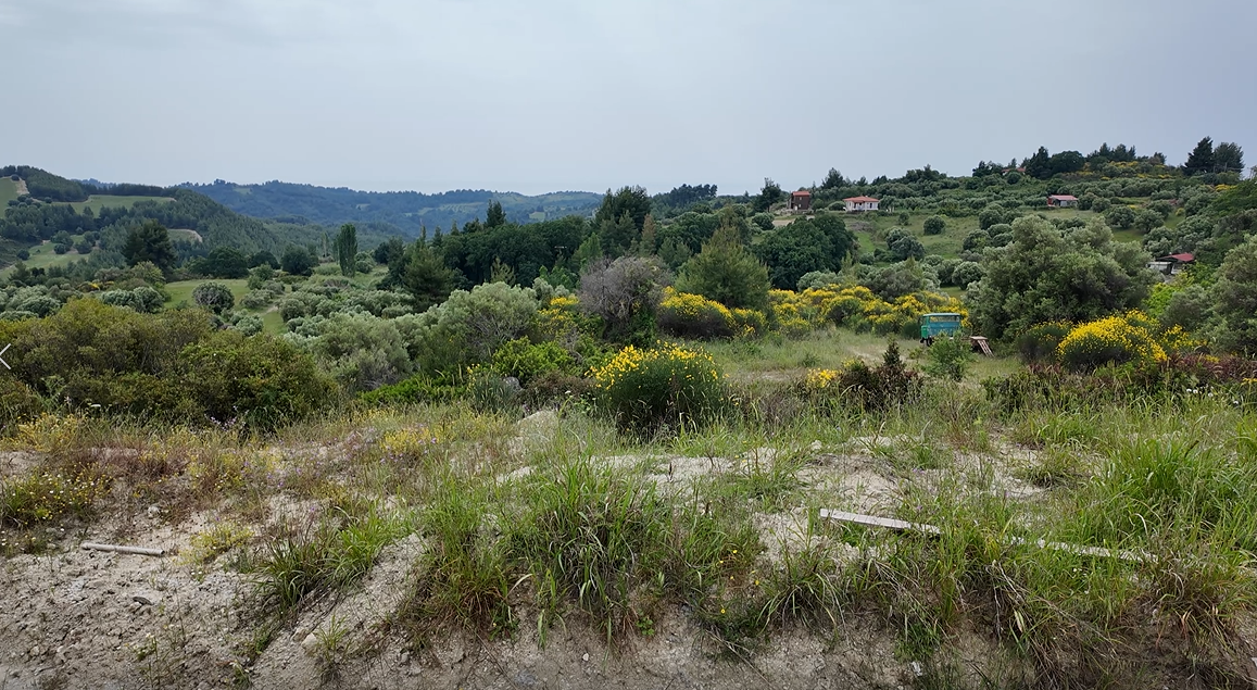 화면 캡처 2025-01-02 142321.png