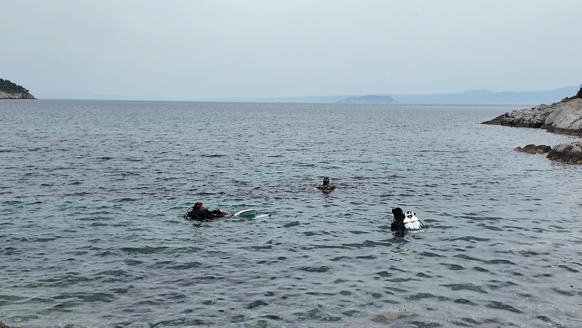 화면 캡처 2025-01-02 134945.png