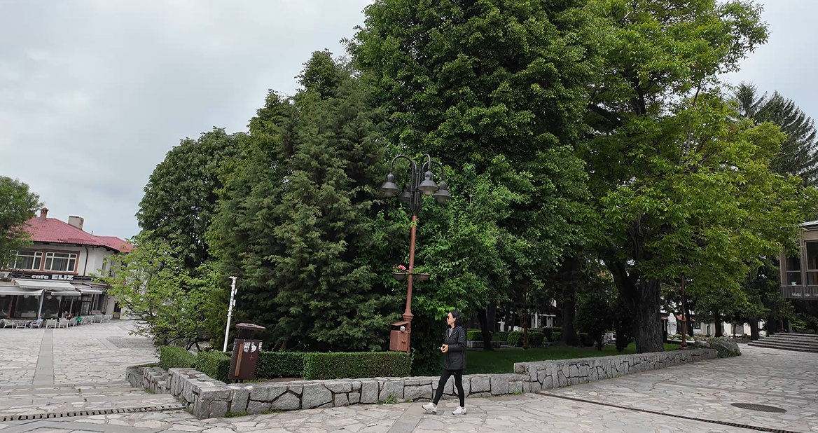 스크린샷 2025-02-04 192057.png