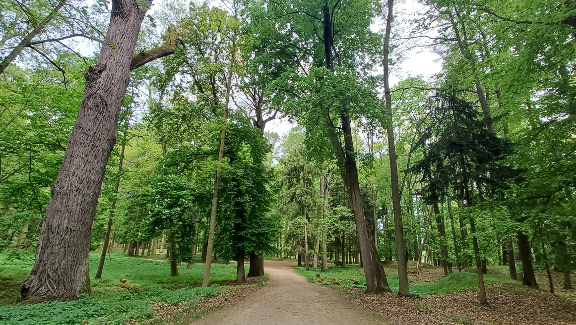 스크린샷 2025-08-25 143554.png