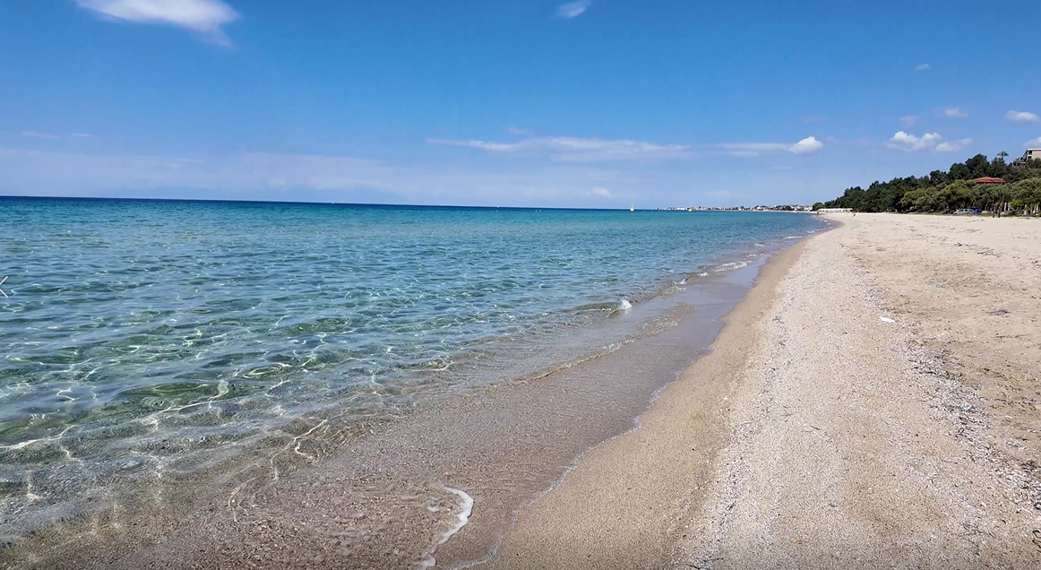 화면 캡처 2024-12-26 145226.png