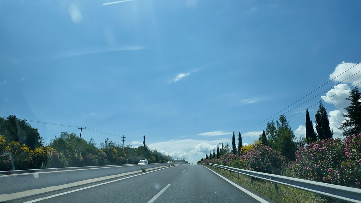 도로 옆 꽃 4.png