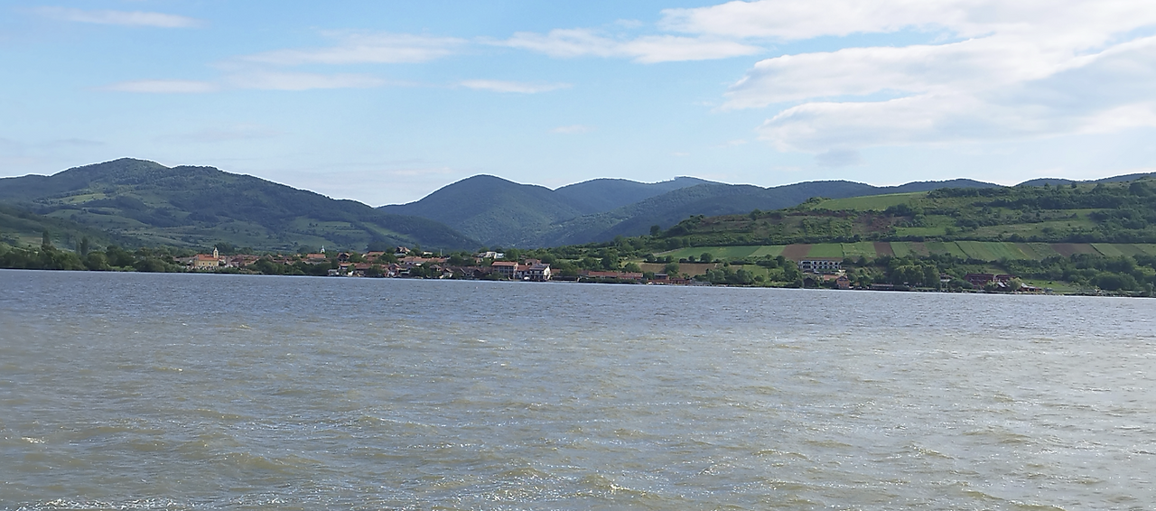 스크린샷 2024-12-05 174255.png