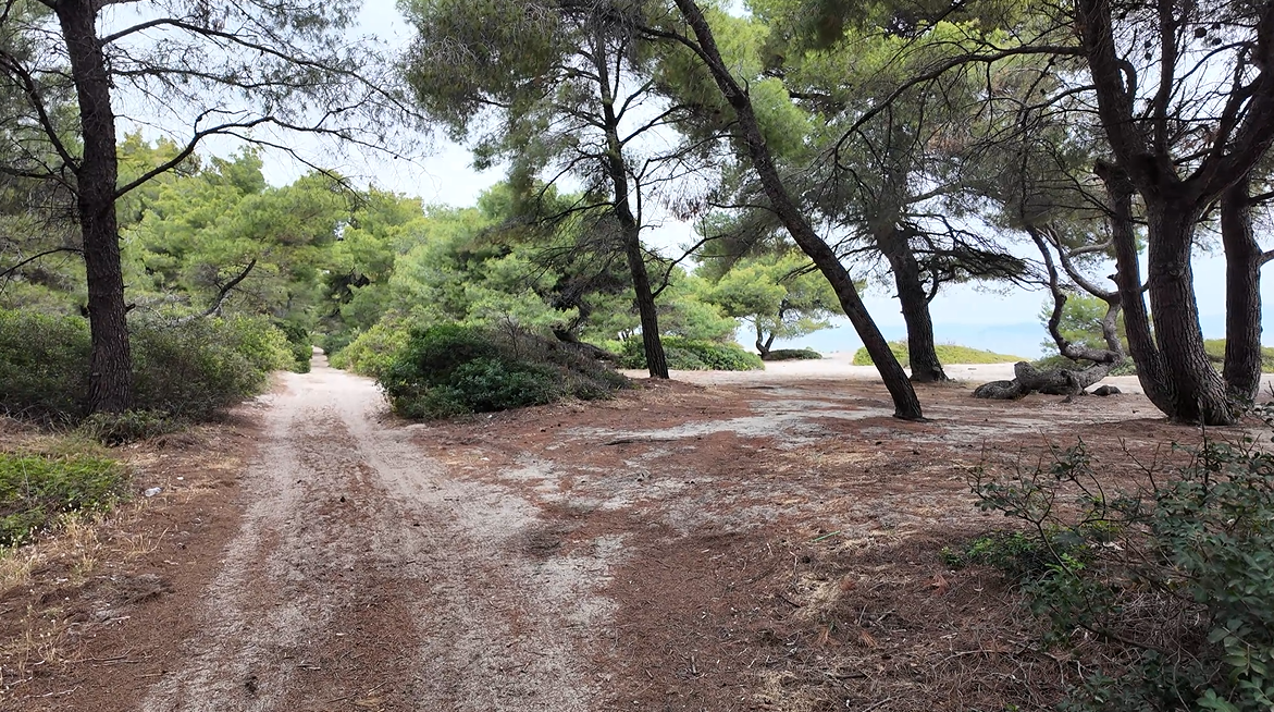 화면 캡처 2025-01-02 135302.png