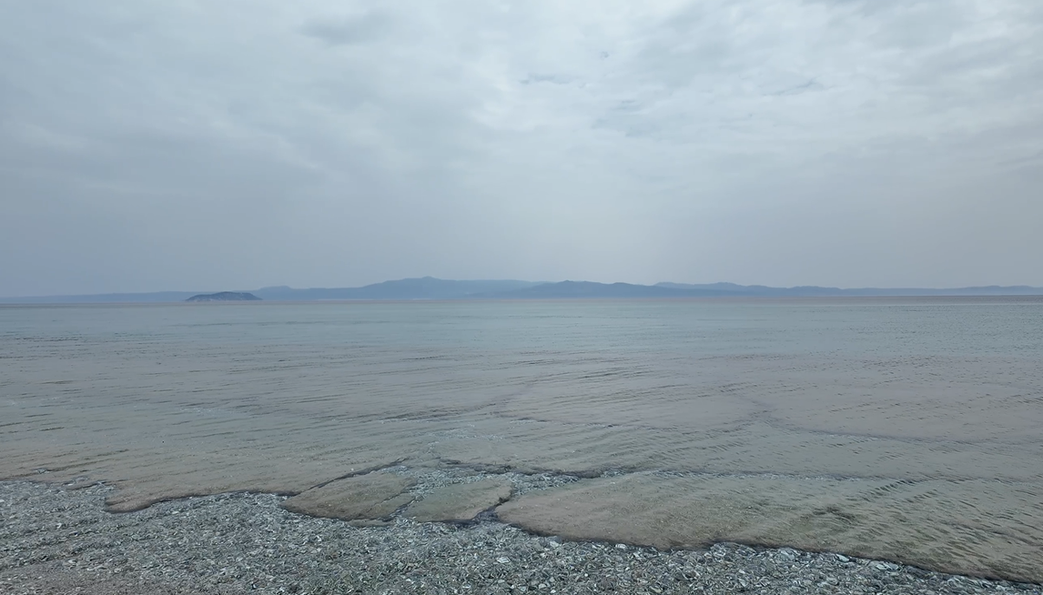 화면 캡처 2025-01-02 135135.png