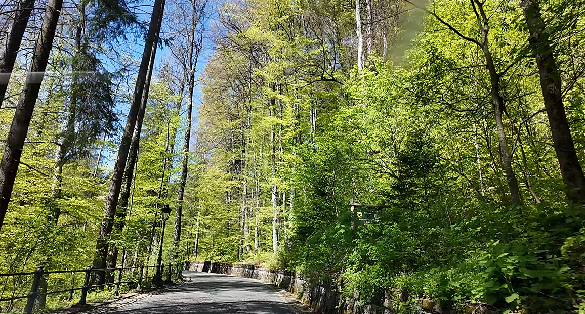 플레시 성으로 가는 길입구.png