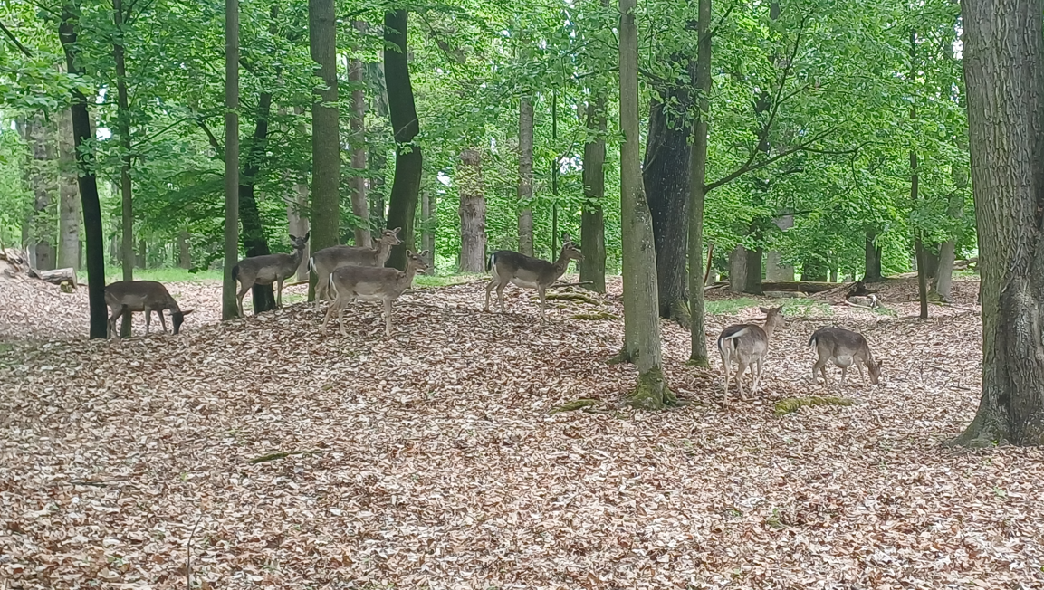 스크린샷 2025-10-17 144121.png