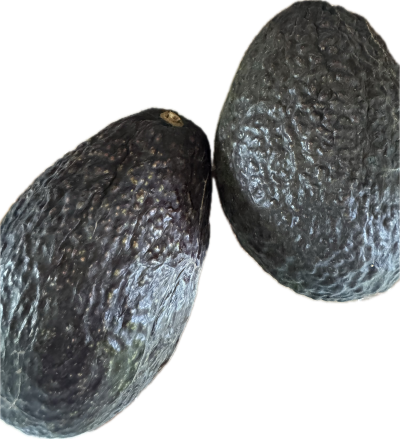 20250610아보카도는 식당에서 사먹는걸로.png